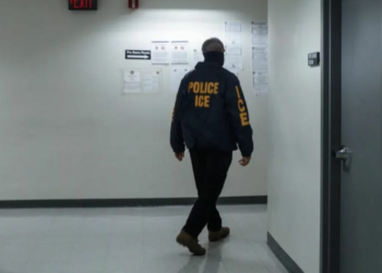 Mayor of Doral assured that she does not share data with ICE