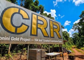 Critical Resources records price gains after investing in Surinamese gold sector – De Ware Tijd