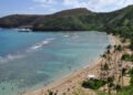 Regional Super El Niño Impacts: Hawaiʻi and the U.S.-Affiliated Pacific Islands