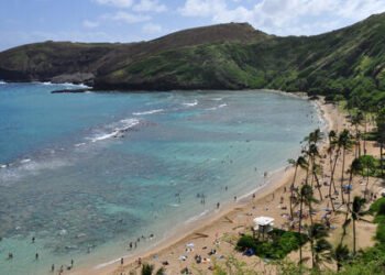 Regional Super El Niño Impacts: Hawaiʻi and the U.S.-Affiliated Pacific Islands