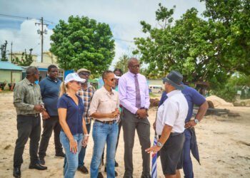 Government mulls dedicated sargassum unit