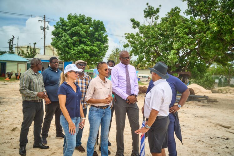 Government mulls dedicated sargassum unit