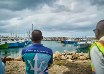 New haul-out system planned to speed vessel removals before storms