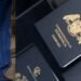 Dominica to appoint envoy for UK and EU visa talks