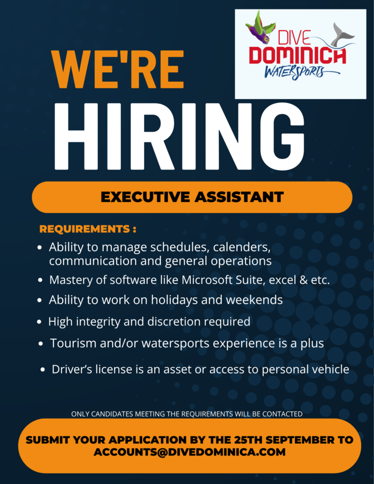 VACANCY ANNOUNCEMENT: Executive Assistant – Dominica News Online