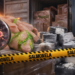 “AMG Food” of the Salmonella scandal, owner of the container where 41 kg of cocaine was found. Are Arben and Mondi Goxhaj wanted? – Shqip.com