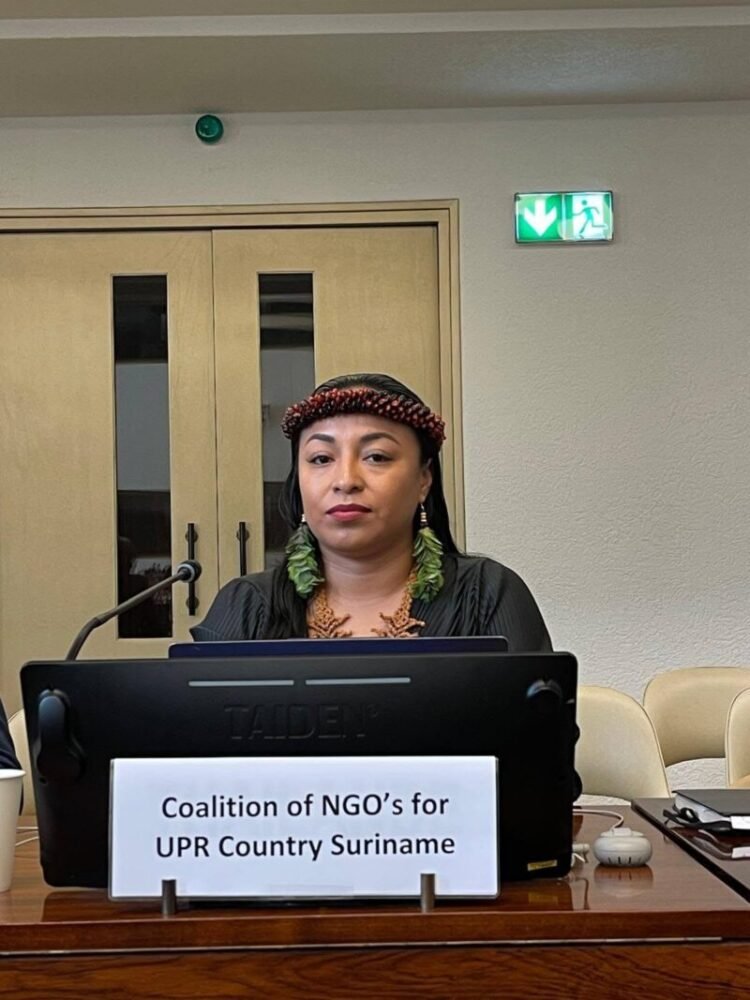 Voice of Surinamese indigenous people is heard during the pre-session UN – De Ware Tijd