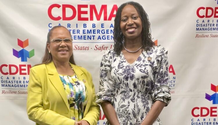 CAF grants US$200k for resilient housing standards