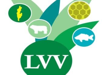 Increased mortality among broiler chickens reported – De Ware Tijd