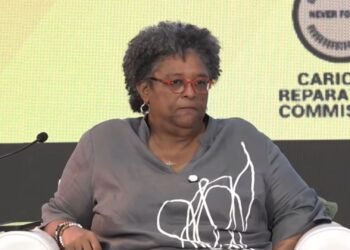 ‘We have no desire to bankrupt anybody, but we have a desire for justice’: Reparations movement pushes towards action