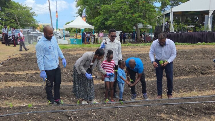 ‘Project CARE’ relaunches as long-term food security drive