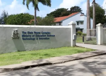 Ministry issues warning on social media-driven fight videos