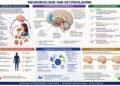 Our miraculous brain (26) – the True Time