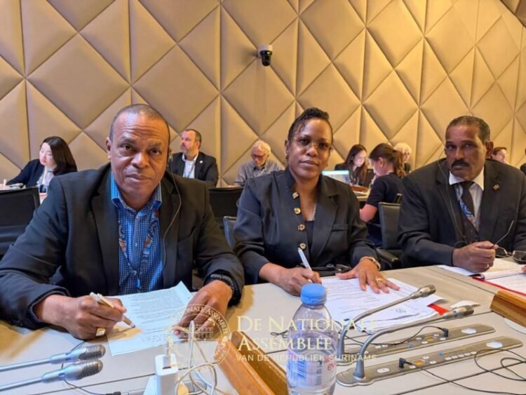 Parliamentary delegation participates in WTO Public Forum in Geneva – de Ware Tijd