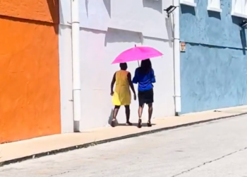 Low participation in the first Barbados Day
