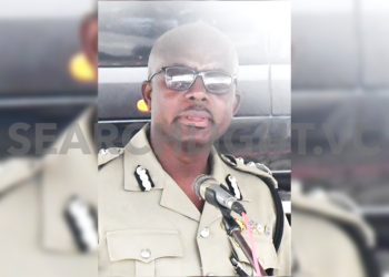 Report wrongdoing by police – acting deputy COP