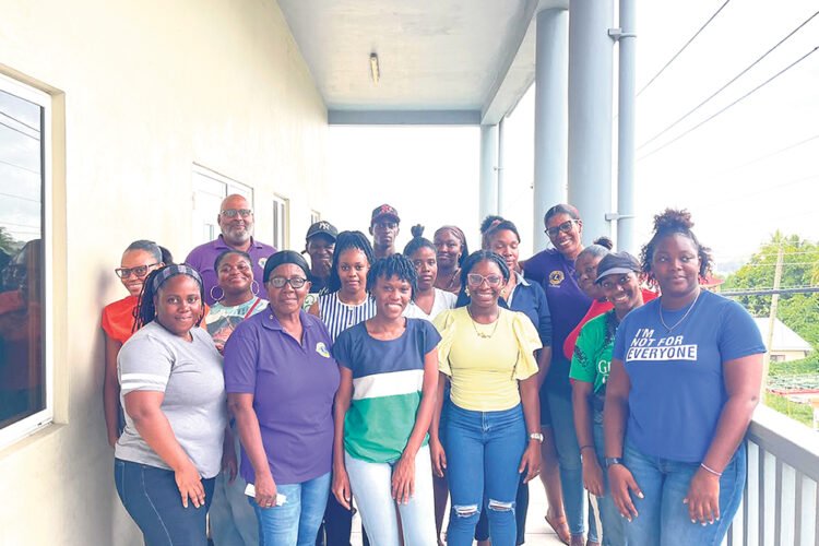 South Leeward Power Hub generates positive feedback