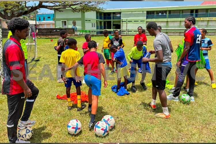 Student athletes give back – Searchlight