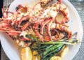 Eight to represent SVG in Taste of the Caribbean Competition in Barbados