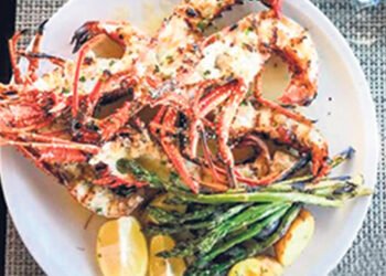 Eight to represent SVG in Taste of the Caribbean Competition in Barbados