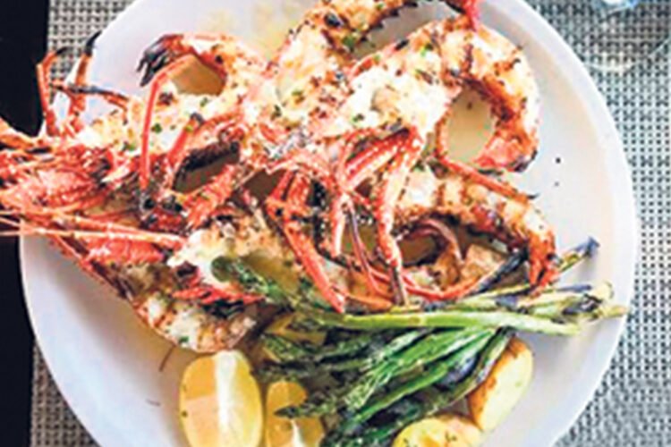 Eight to represent SVG in Taste of the Caribbean Competition in Barbados