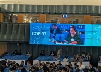 Pacific Island countries and territories unite at the thirty-seventh Committee on Fisheries (COFI37)
