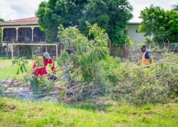 Major cleaning neglected ‘Sosis’ – the True Time