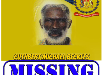 Search on for missing St George man