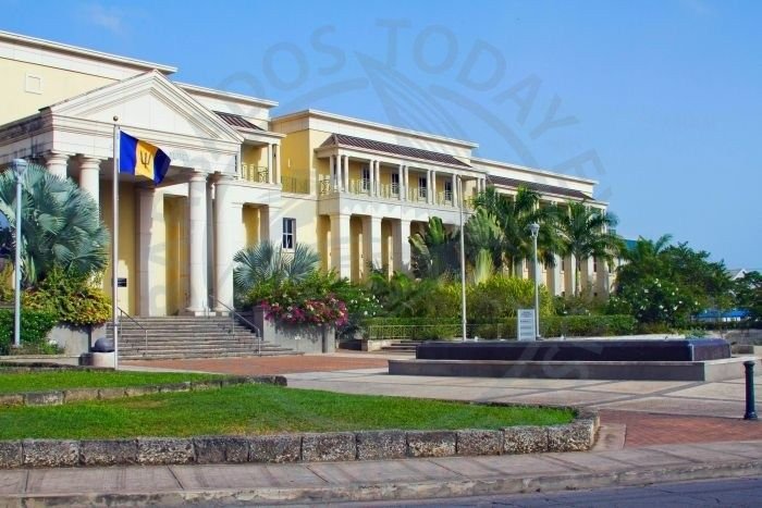 Teen granted bail after constitutional challenge to Bail Act