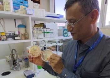 Govt ‘to patent sargassum microbe discoveries, potential commercial gains in Bajan hands’