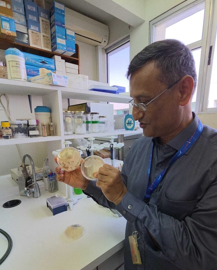 Govt ‘to patent sargassum microbe discoveries, potential commercial gains in Bajan hands’