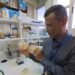 Govt ‘to patent sargassum microbe discoveries, potential commercial gains in Bajan hands’