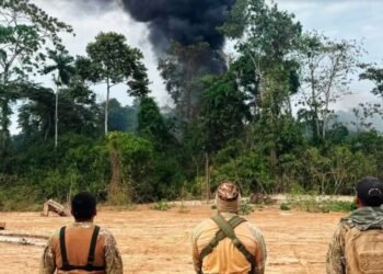 Madre de Dios: Navy officer dies during intervention against illegal mining