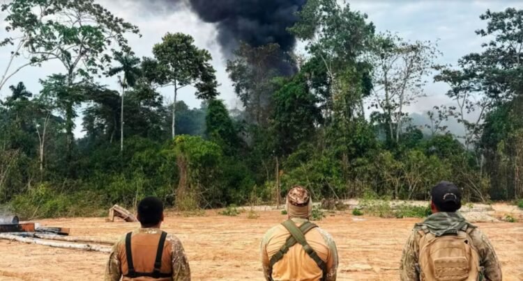 Madre de Dios: Navy officer dies during intervention against illegal mining