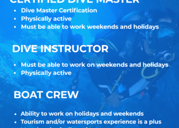 VACANCY ANNOUNCEMENT: Certified Dive Master, Boat Crew etc