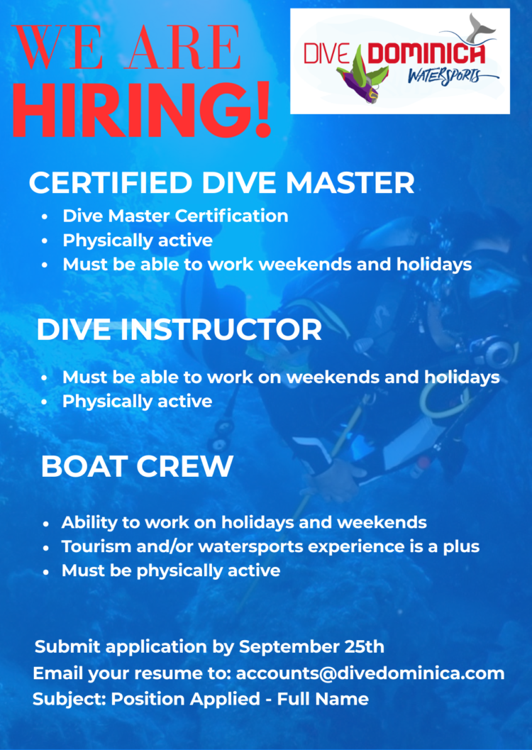 VACANCY ANNOUNCEMENT: Certified Dive Master, Boat Crew etc