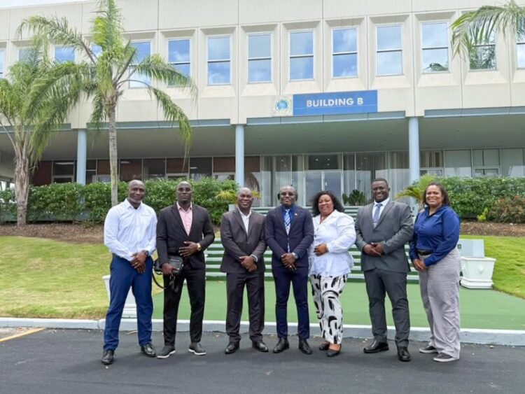 Grassalco talks to Afreximbank; Barbados is interested in agricultural cooperation – the True Time