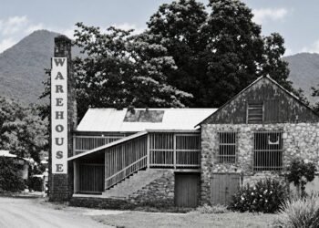 COMMENTARY: Warehouse Disco – A summer night in Dominica, 1981