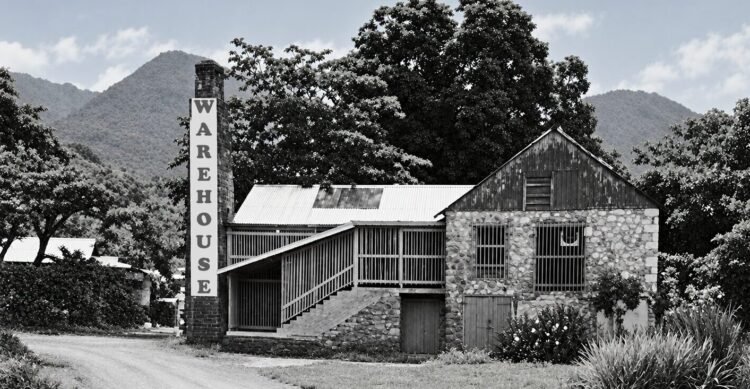 COMMENTARY: Warehouse Disco – A summer night in Dominica, 1981