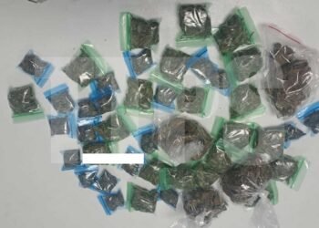 2.2kg of cannabis seized in Port-of-Spain