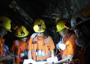 The true alarm of mining employment, by Raúl Benavides Ganoza