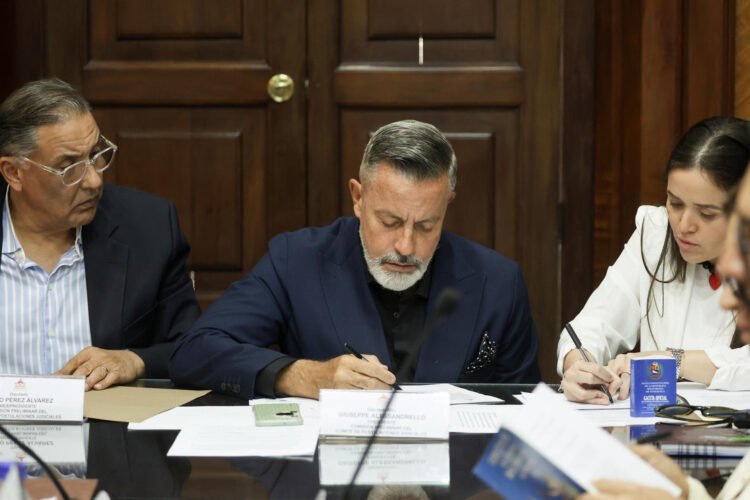 AN installs commission with a schedule to renew the TSJ