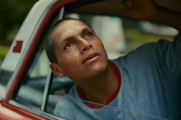 From Peru to Panama: the story of migration and boxing that ‘Chichero’ tells and that seeks the Oscar