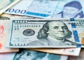 0 Countries Without Their Own Currency in 2026