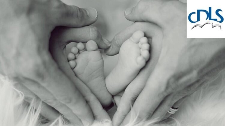 CDLS: “Family and maternity support finally approved”