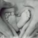 CDLS: “Family and maternity support finally approved”