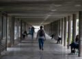 They evaluate new alternatives to facilitate the entry of high school graduates