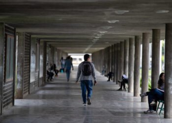 They evaluate new alternatives to facilitate the entry of high school graduates