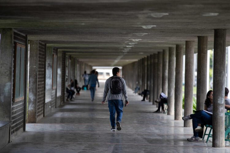 They evaluate new alternatives to facilitate the entry of high school graduates
