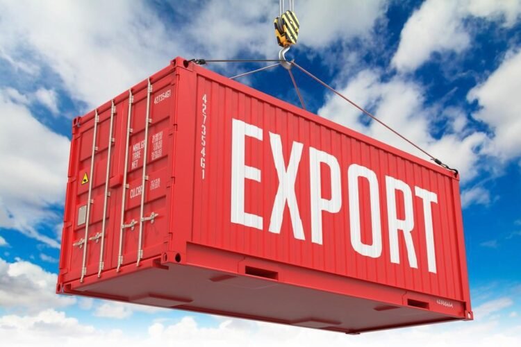Georgia’s exports grow nearly 30% in July, fastest pace this year